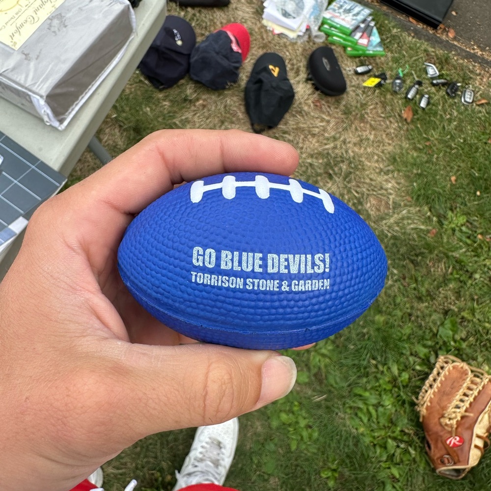 Blue Mini Football - Picture 1 of 1